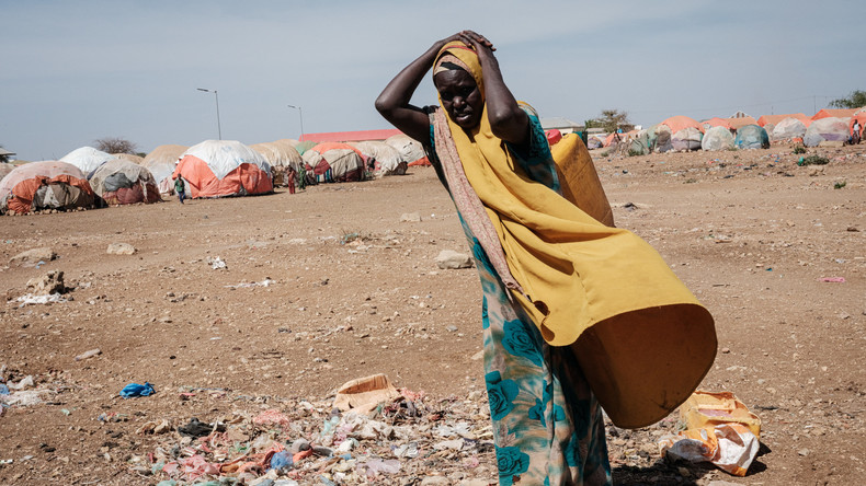 Prix alimentaires : le FMI alerte sur «les risques de troubles sociaux» en Afrique