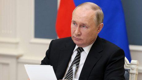 Le président russe Vladimir Poutine participe à une réunion du Conseil économique  eurasiatique suprême par vidéoconférence, le 27 mai 2022 (image d'illustration).