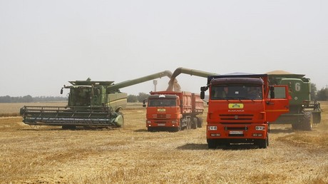 La récolte du blé en Russie, à l'été 2021 (image d'illustration).
