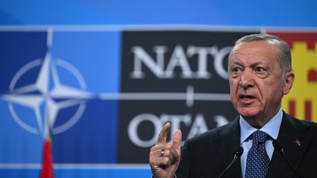 OTAN : Erdogan menace de nouveau de «geler» l'adhésion de la Suède et de la Finlande