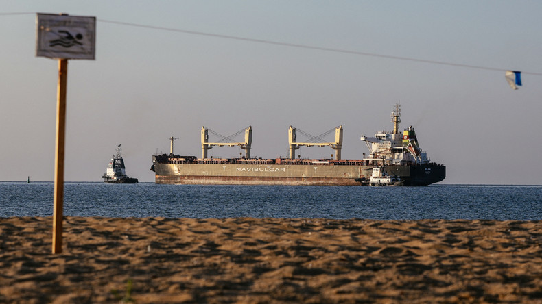 De nouveaux cargos chargés de céréales ont quitté les ports ukrainiens ce 7 août