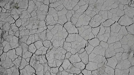 Une plante sauvage sur un sol craquelé par la sécheresse lors d'un épisode de chaleur exceptionnel en France, le 19 mai 2022 à Saint-Gilles, dans le sud (image d'illustration).