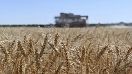 Exportation des céréales : Poutine défend une augmentation des livraisons vers les pays pauvres