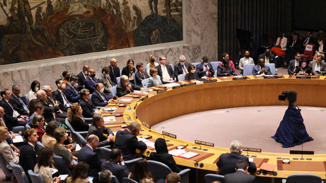 Réunion du conseil de sécurité de l'ONU (image d'illustration).