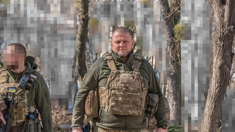 Le commandant des forces ukrainiennes arborait-il un symbole nazi sur son bracelet ?
