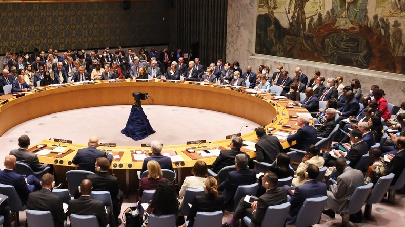 Menaces pour la paix et la sécurité internationales : le Conseil de sécurité de l'ONU se réunit
