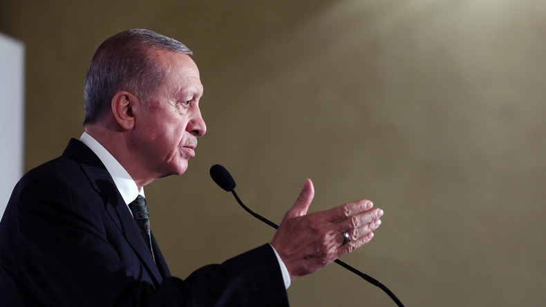 Le président turc Recep Tayyip Erdogan (image d'illustration)