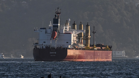 Cover Le Zante, un cargo transportant des céréales ukrainiennes, navigue sur le Bosphore vers la mer de Marmara, à Istanbul, le 2 novembre 2022 (image d'illustration).