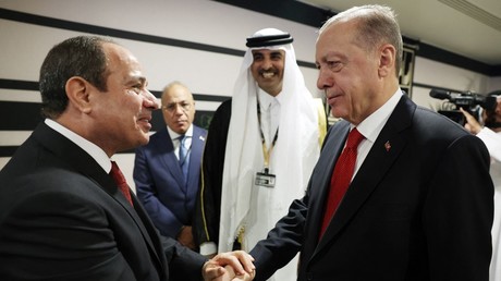Vers un dégel entre Ankara et Le Caire ? Erdogan et Sissi se serrent la main pour la première fois