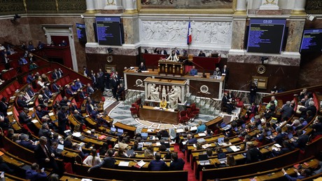 L'Assemblée nationale, le 24 novembre 2022 (image d'illustration).