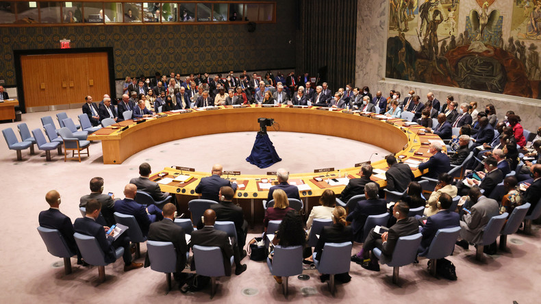 Le Conseil de sécurité de l'ONU discute des livraisons d'armes à l'Ukraine