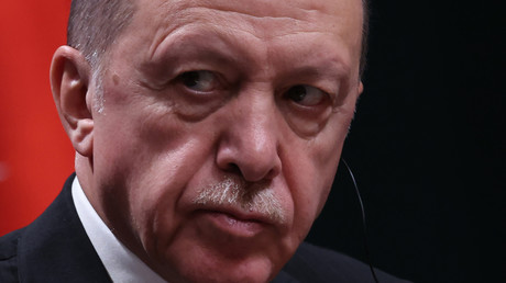 Le président turc Recep Tayyip Erdogan, le 23 novembre 2022 (image d'illustration).