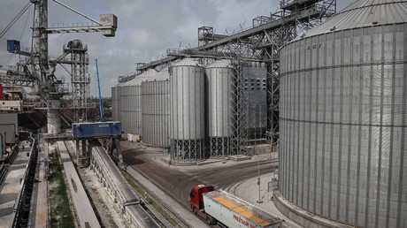 Les silos du dock céréalier du port de Constanta sur la mer Noire, en Roumanie, photographié en mai 2022 (illustration).