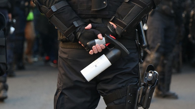 Seine-Saint-Denis : une policière écope d'une peine de prison avec sursis pour avoir gazé un SDF