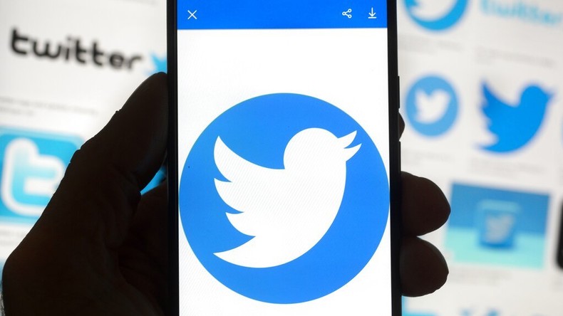 Le logo de Twitter sur un téléphone portable (image d'illustration).