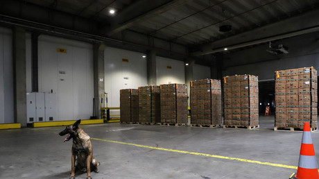 Près de 110 tonnes de cocaïne saisies en 2022 dans le port d'Anvers, un record