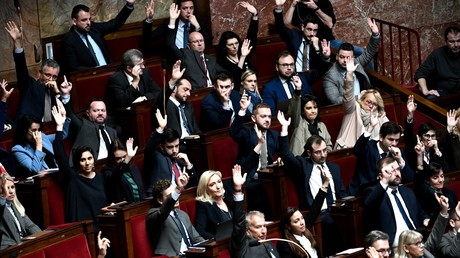 Le groupe Rassemblement national (RN) à l'Assemblée nationale, à Paris le 12 janvier 2023 .