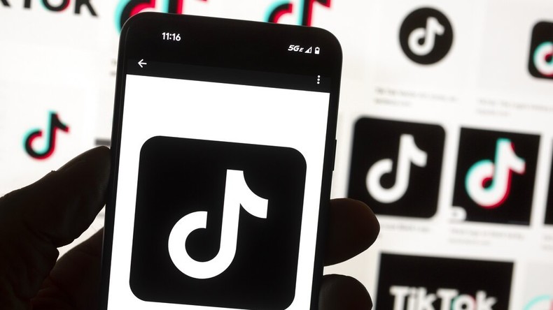 Passage à tabac mortel diffusé sur TikTok : deux interpellations à Lyon