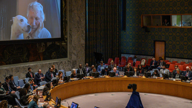 Roger Waters fustige l'«invasion russe» et ses «provocateurs» devant le Conseil de sécurité de l'ONU