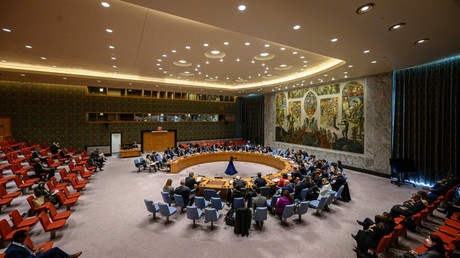 Le Conseil de sécurité de l'ONU le 20 mars.
