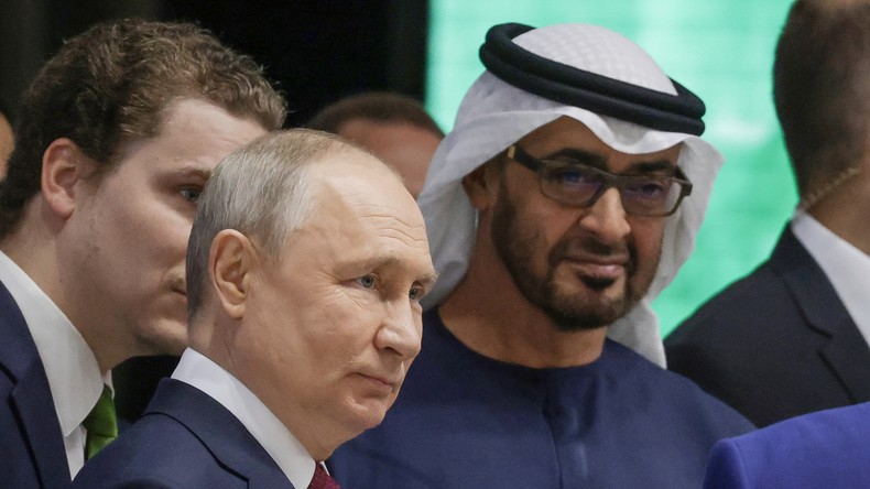 Rencontre Poutine-ben Zayed en vue de renforcer le partenariat économique avec les Emirats