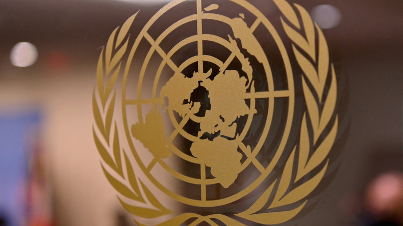 Ukraine : réunion de l'Assemblée générale de l’ONU