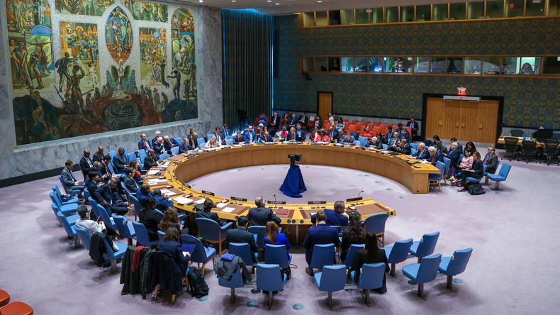 Nouvelle réunion du Conseil de sécurité de l'ONU sur l'accord céréalier