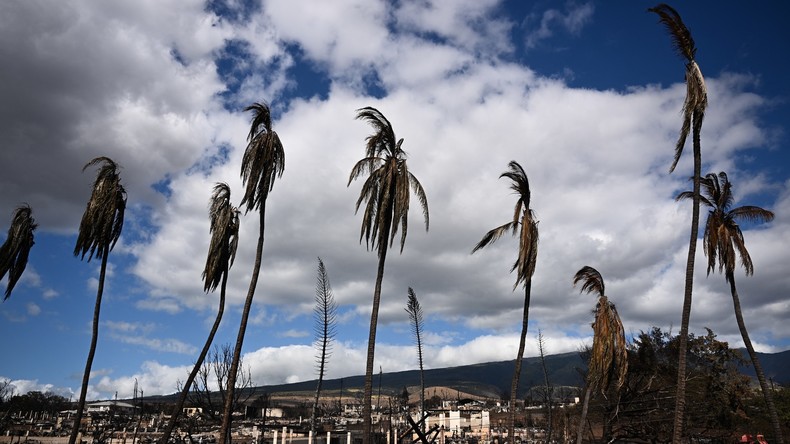 Au moins 93 morts dans les incendies à Hawaï, les autorités américaines critiquées