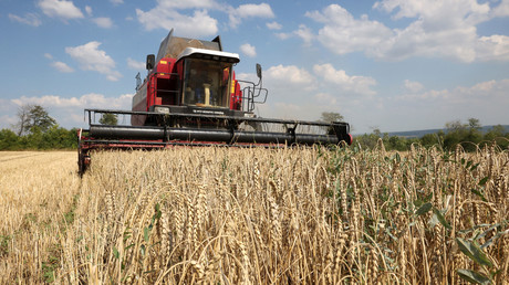 Une moissonneuse-batteuse récolte du blé près de Kramatorsk, le 4 août 2023 (photo d'illustration).