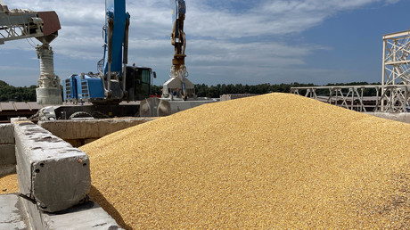 Des grains de maïs, sur la jetée du port maritime d'Izmail, dans la région d'Odessa, le 22 juillet 2023 (photo d’illustration).