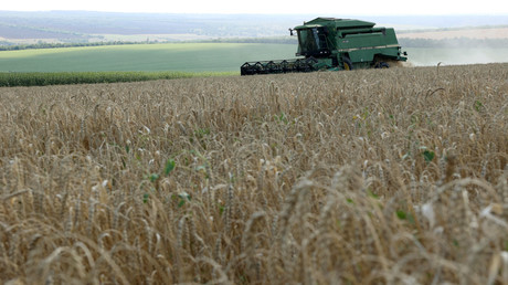 La Hongrie, la Pologne et la Slovaquie maintiennent leur interdiction des céréales d’Ukraine