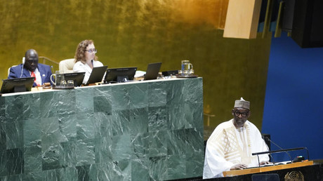 Niger : le Mali prévient qu’il ne restera pas «les bras croisés» en cas d’intervention militaire