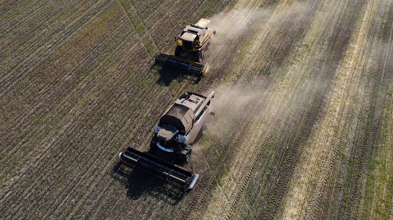 Céréales : l'Iran propose à la Russie de faire transiter ses exportations par son territoire