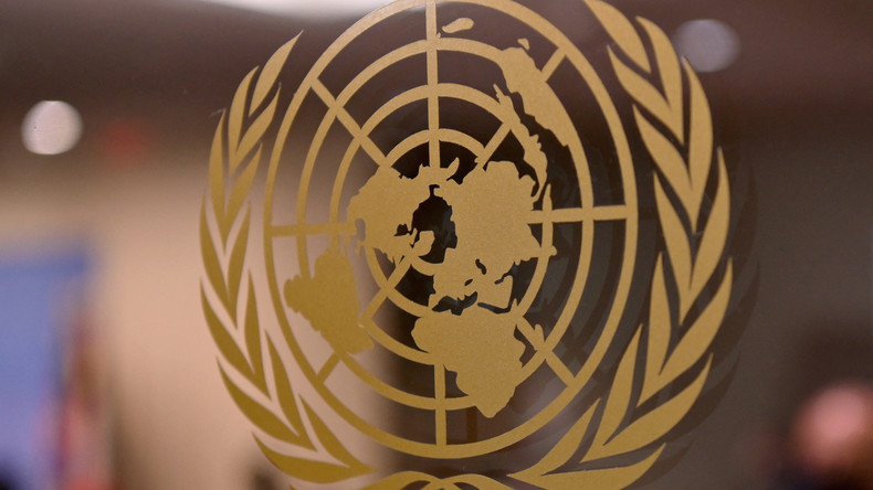 Suite de la session extraordinaire d'urgence à l'ONU sur la protection du peuple palestinien