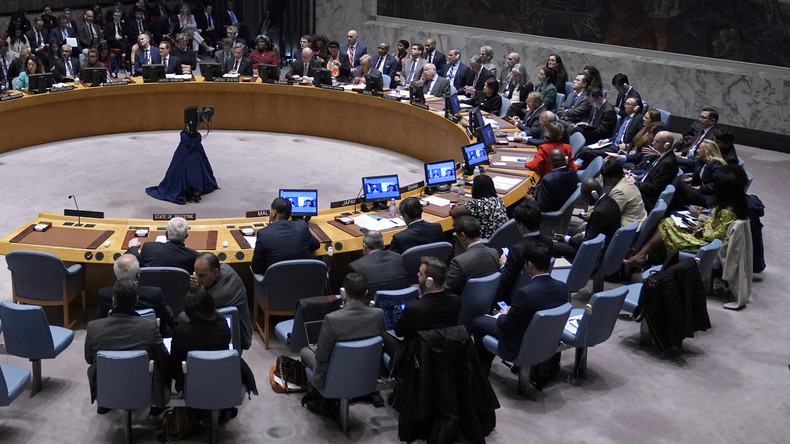 Réunion du Conseil de sécurité des Nations unies
