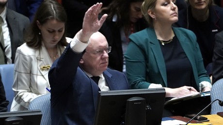 Le nord du Kosovo est «de fait sous blocus», dénonce la Russie à l'ONU