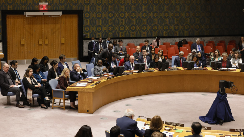 Conseil de sécurité de l’ONU : réunion sur les menaces à la paix et à la sécurité internationales
