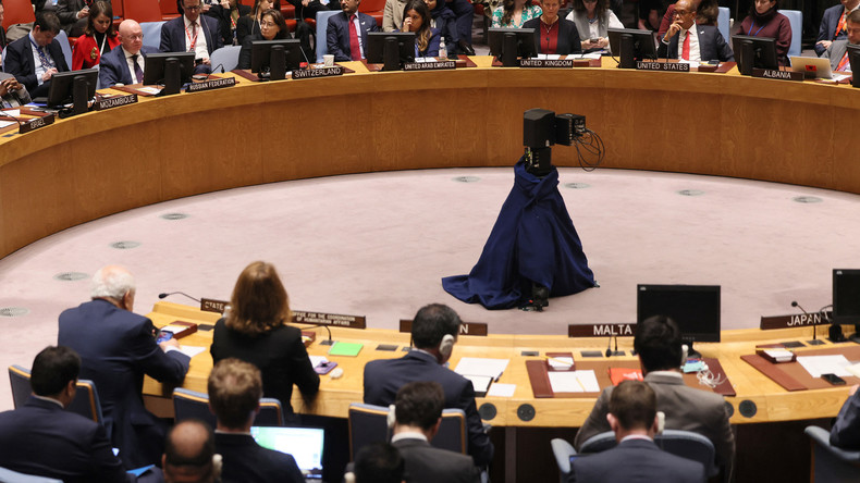 Réunion du Conseil de sécurité de l'ONU sur la protection des enfants ukrainiens dans les pays de l'UE