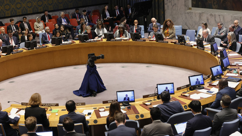 Conseil de sécurité des Nations unies : maintien de la paix et de la sécurité de l'Ukraine