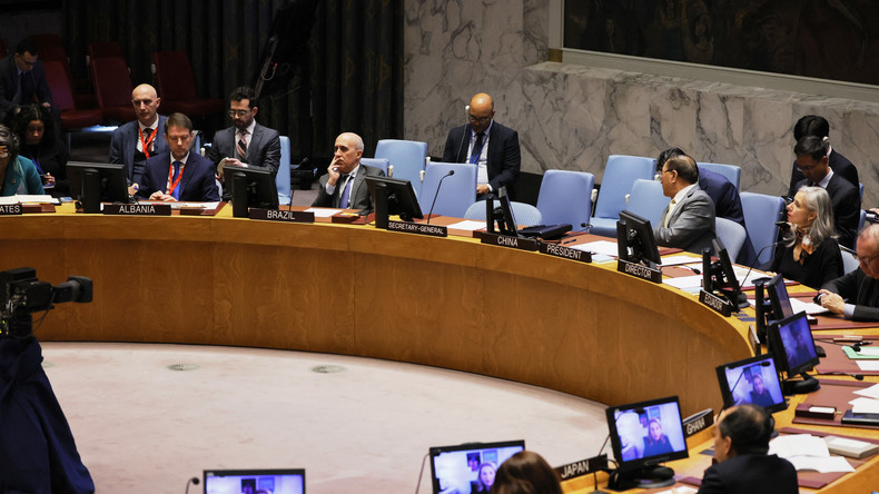 Conseil de sécurité des Nations unies : situation au Proche-Orient