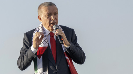 Erdogan le 28 octobre 2023 (image d'illustration).