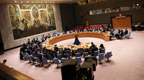 Gaza : la Russie regrette que le Conseil de sécurité de l'ONU n'ait pas exigé un cessez-le-feu