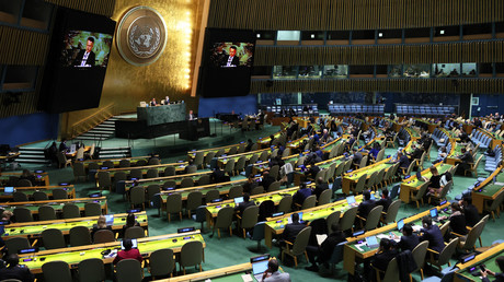 Assemblée générale de l'ONU (image d'illustration).