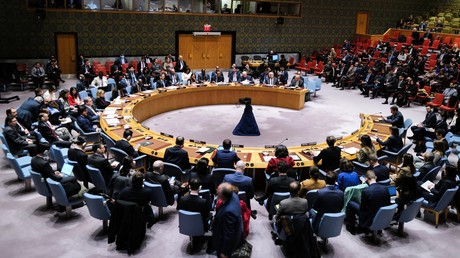 Le Conseil de sécurité de l'ONU le 22 décembre 2023.
