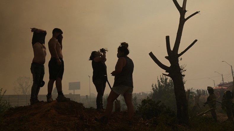 Incendies au Chili : le bilan humain monte à 112 morts
