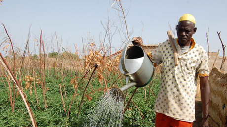 Le Burkina Faso lance un programme stratégique de culture de céréales