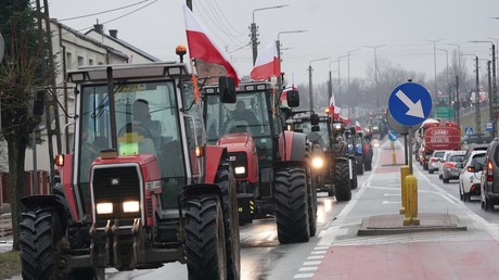 Manifestation d'agriculteurs polonais à la frontière ukrainienne, le 20 février 2024.