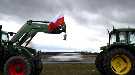 Manifestation d'agriculteurs polonais à Ryki, 20 février 2024 (image d'illustration).