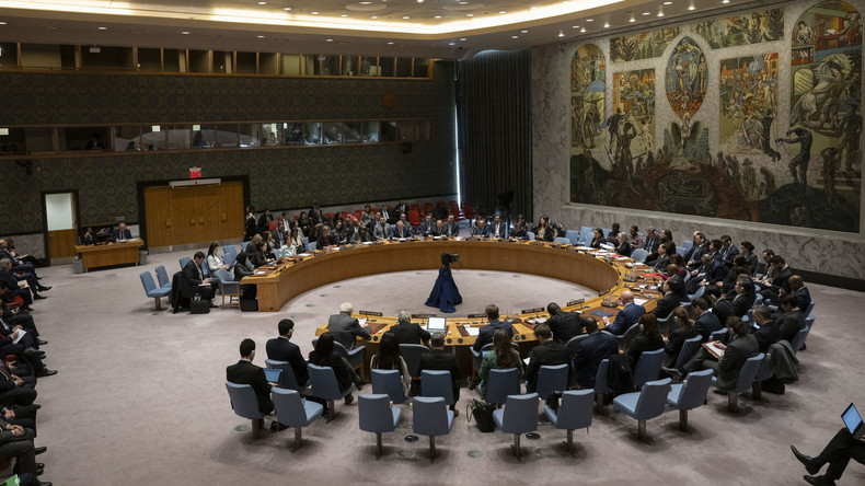Conseil de sécurité des Nations unies : situation au Proche-Orient