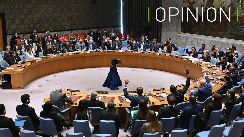 Conseil de sécurité des Nations Unies : à quand un membre africain ?